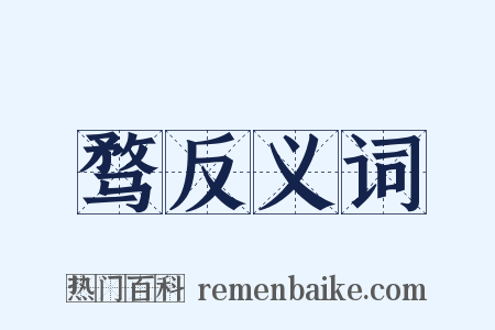骛反义词是什么意思的图片